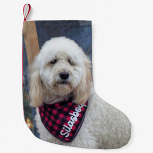 Poodle Kleine Kerstsok