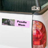 Poodle Ma Bumpersticker (Op Truck)