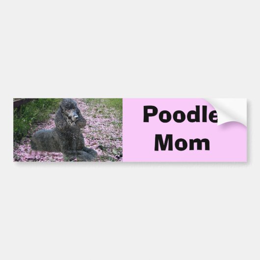 Poodle Ma Bumpersticker (Voorkant)