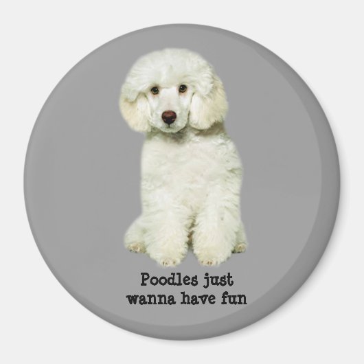 Poodle Magnet Magneet (Voorkant)
