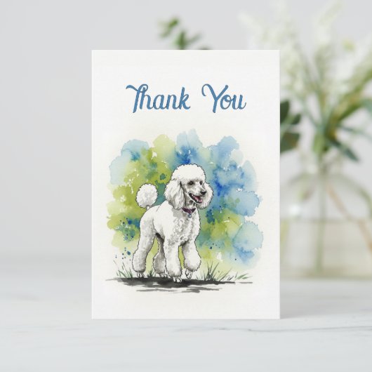 Poodle Merci note (Debout devant)