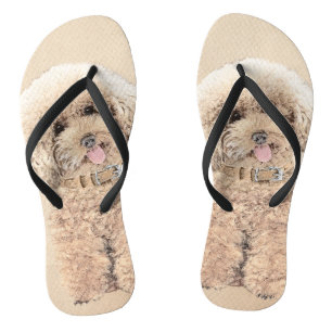 Poodle Miniature Speelgoed Abriot Cream Brown Dog Teenslippers