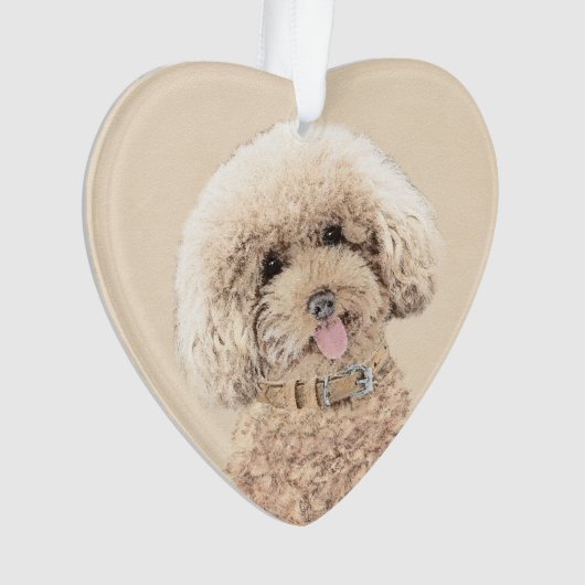 Poodle Miniature Toy Apricot Crème Chien Brown Art (devant)