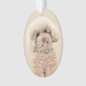 Poodle Miniature Toy Apricot Crème Chien Brown Art (devant)