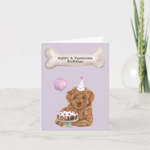 Poodle Mix Cavapoo Verjaardag Feestdagen Kaart