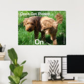 Poodle - Ne pas être en colère - Poster (Bureau à domicile)