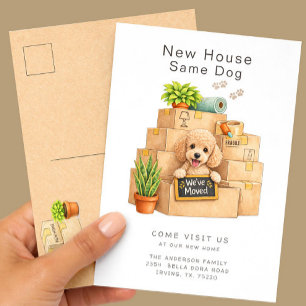 Poodle Nieuw Huis Verhuisbericht Briefkaart