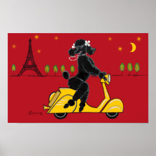Poodle noir Scooter affiche