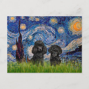 Poodle Paar (zwart) - Sterrennacht Briefkaart