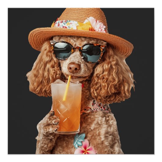 Poodle Perfect Poster (Voorkant)