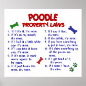 POODLE PL2 POSTER (Voorkant)