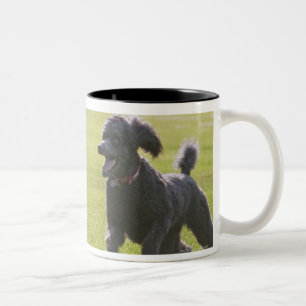 Poodle playfrisbei tweekleurige koffiemok