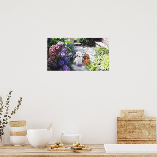 Poodle Poster Hydrangeas (Cuisine)
