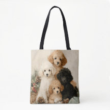 Poodle Puppies Vintage Christmas