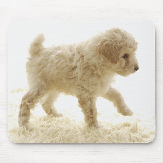 Poodle Puppy Muismat (Voorkant)