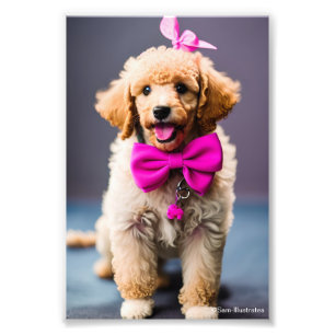 Poodle Puppy Satin Foto Uitbreiding Foto Afdruk