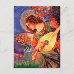Poodle(s) - Mandoline Engel Briefkaart