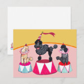 Poodle Sisters Circus Act Postcard Briefkaart (Voorkant / Achterkant)