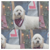 Poodle Stof (Close Up)