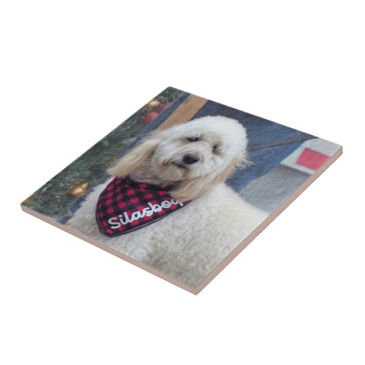 Poodle Tegeltje (Zijkant)