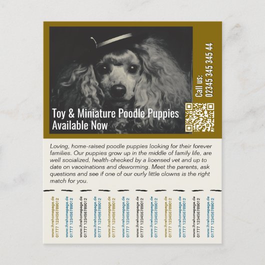 Poodle Vlieger Flyer (Voorkant)