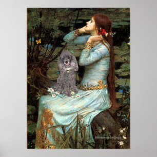 Poodle (Zilver 8) - Ophelia Zittend Poster