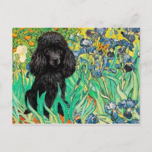Poodle (zwart 1) - Irissen Briefkaart