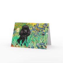 Poodle (zwart 1) - Irissen