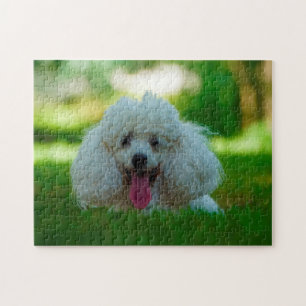 Poodlehonden. Legpuzzel