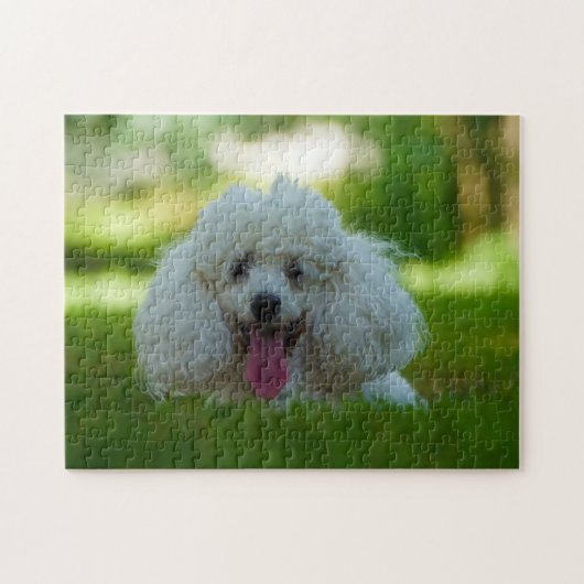 Poodlehonden. Legpuzzel (Horizontaal)