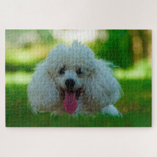 Poodlehonden. Legpuzzel