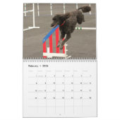 Poodles 2013 kalender (Feb 2026)