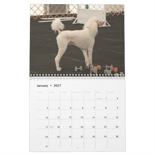 Poodles 2013 kalender (Jan 2027)