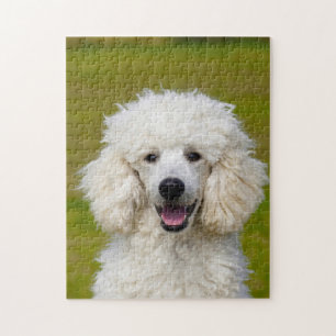 Poodles. Legpuzzel