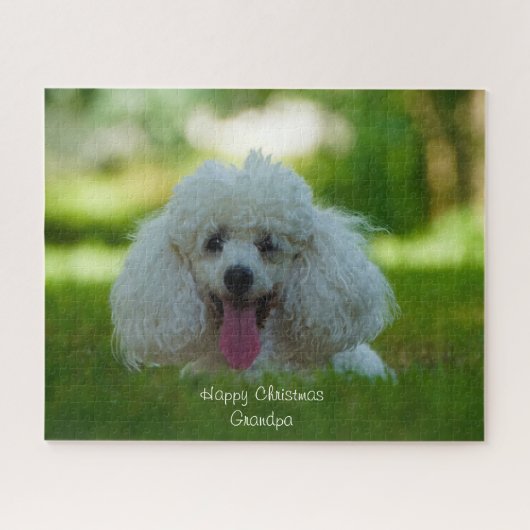 Poodles. Legpuzzel (Horizontaal)