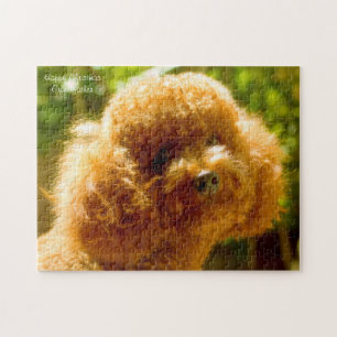 Poodles. Legpuzzel