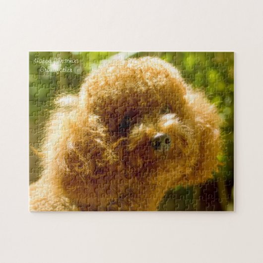 Poodles. Legpuzzel (Horizontaal)
