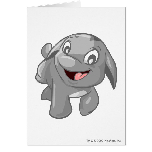 Poogle Silver (Voorkant)