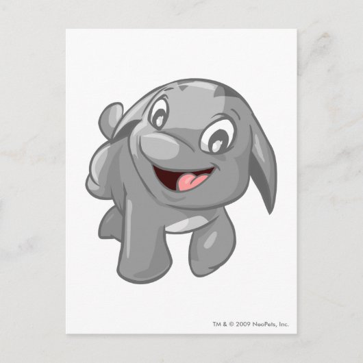 Poogle Silver Briefkaart (Voorkant)