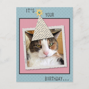 Pookie Cat Anniversaire Carte postale