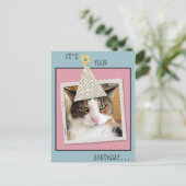 Pookie Cat Anniversaire Carte postale (Debout devant)