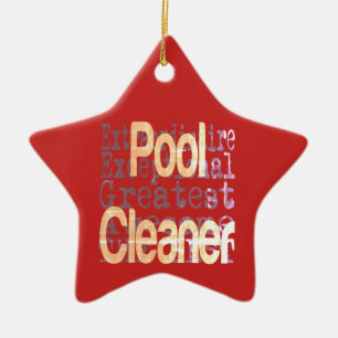 Pool Cleaner Buitengewoon Keramisch Ornament