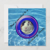 Pool party cavia kaart (Voorkant)