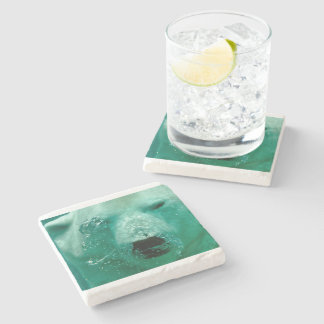 Poolbeer Dier Arctisch Noordelijk Schattig Whimsic Stenen Onderzetter