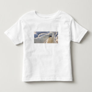 Poolbeer Kus Kinder Shirts