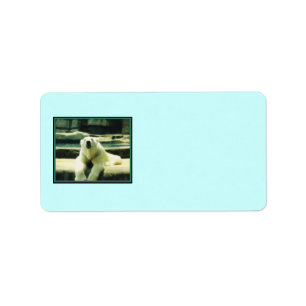 Poolbeerlabels Etiket