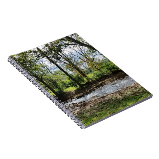 Poole Forge Park Journal (Côté Droit)