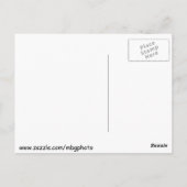 Poole's Mill Covered Bridge Briefkaart (Achterkant)