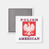 Pools Amerikaans Eagle Shield Magneet (Voorkant / Achterkant)