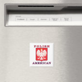 Pools Amerikaans Eagle Shield Magneet (Insitu (Vaatwasser))